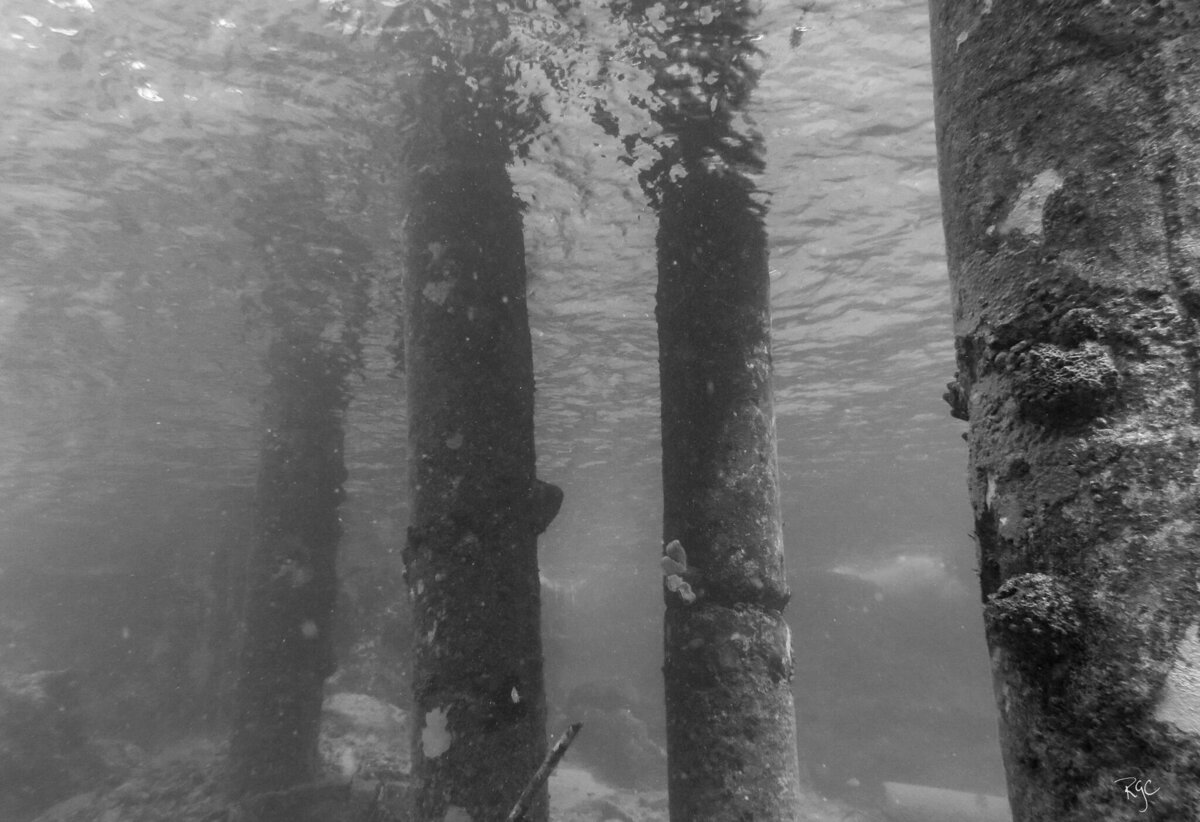 RGEORGE_UWcozumel_March2015_0121