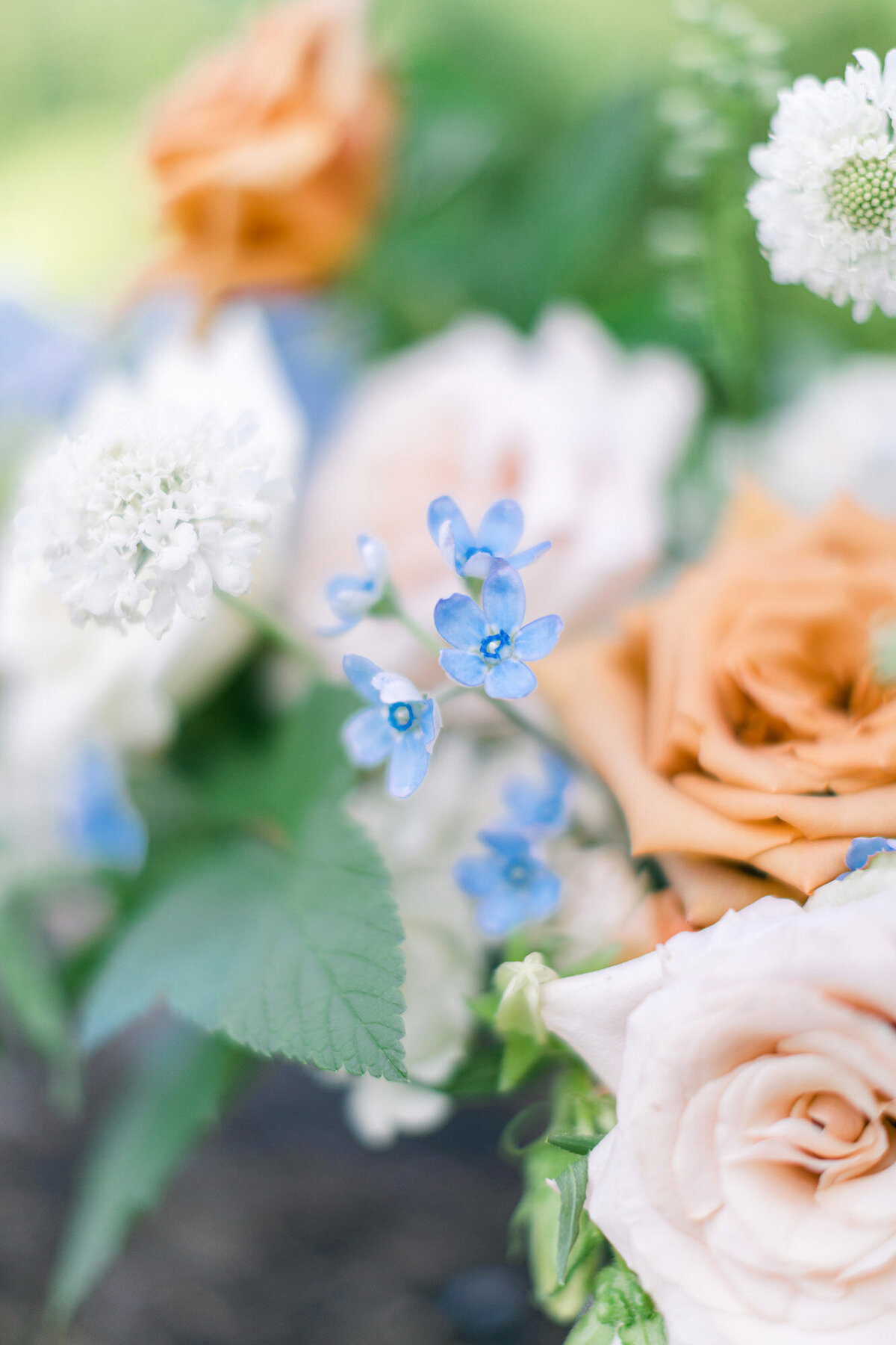 bride details bouquet flowers blue