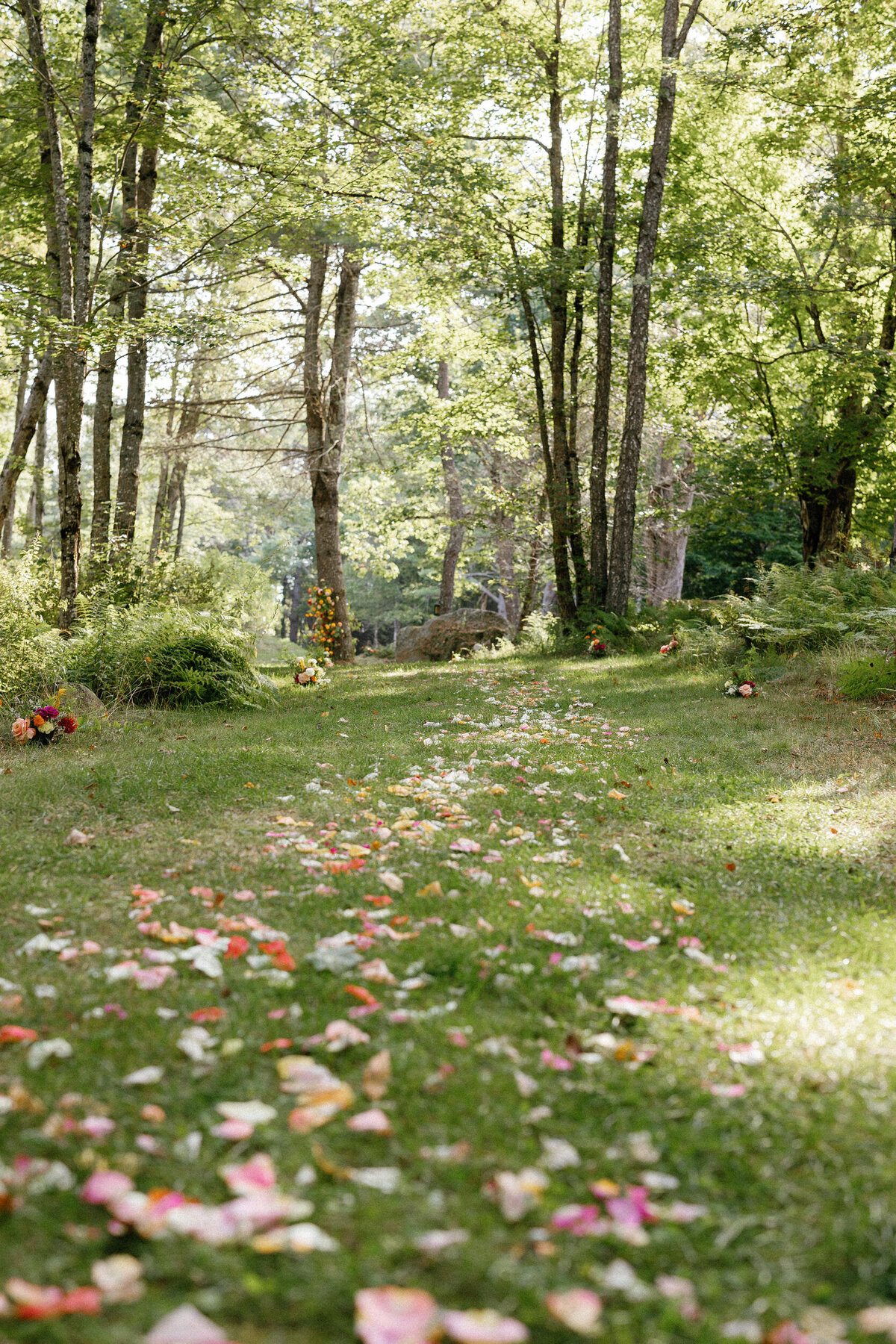 Lakefalls_Lodge_NH_Indian_Wedding_LevKuperman_059
