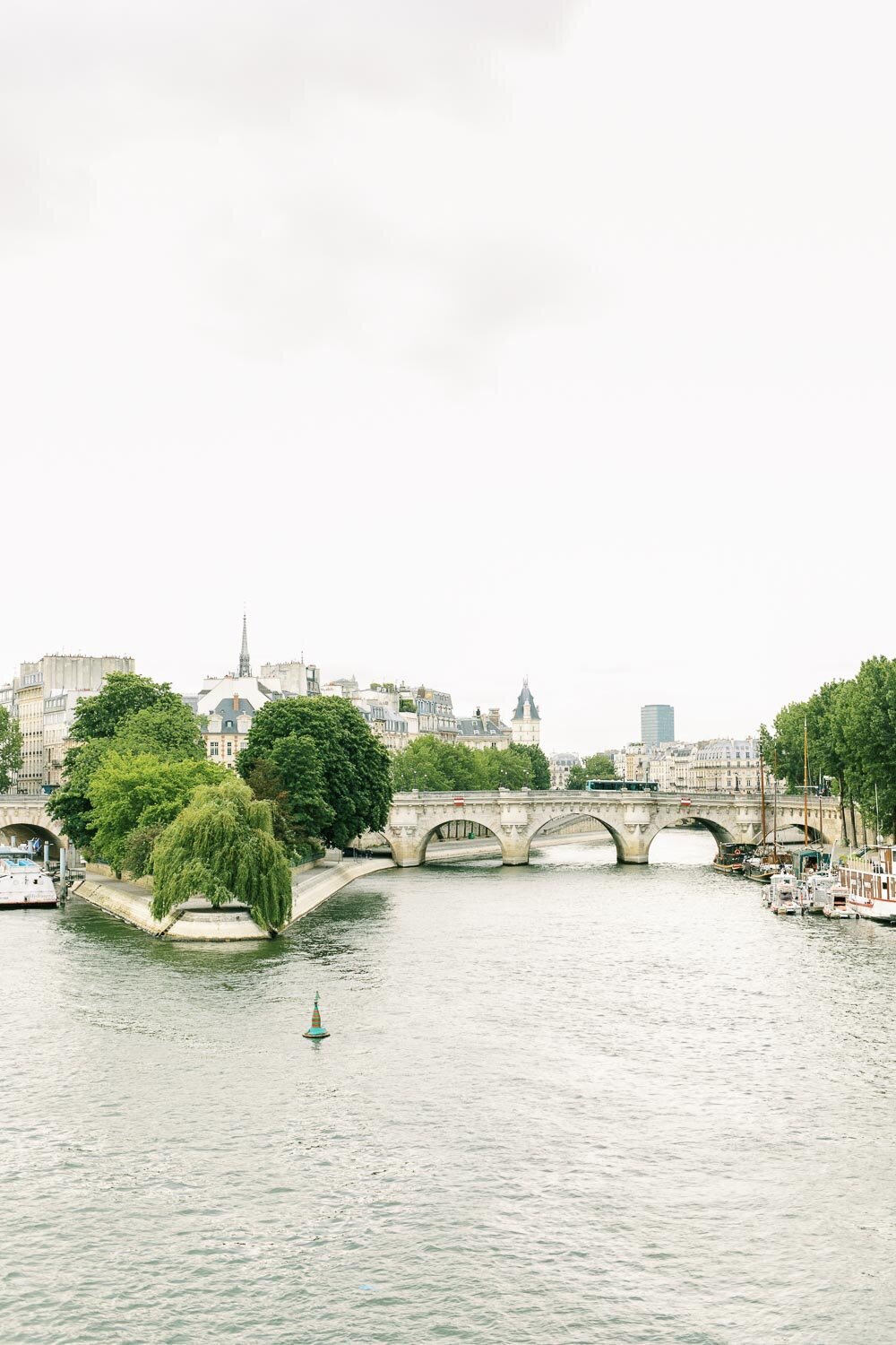 View over Paris river