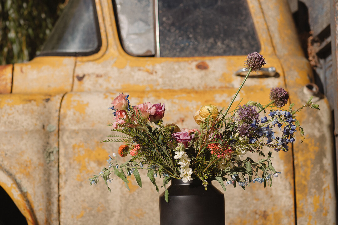 Mary-Lewis-Photography-Petaluma-California-Wedding-2022-25792