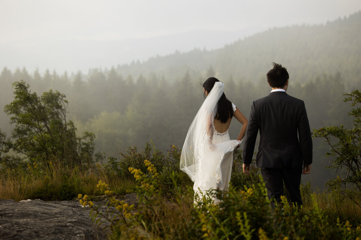 couple walks away from the camera with a view of evergreens and mountains and wildflowers in the foreground