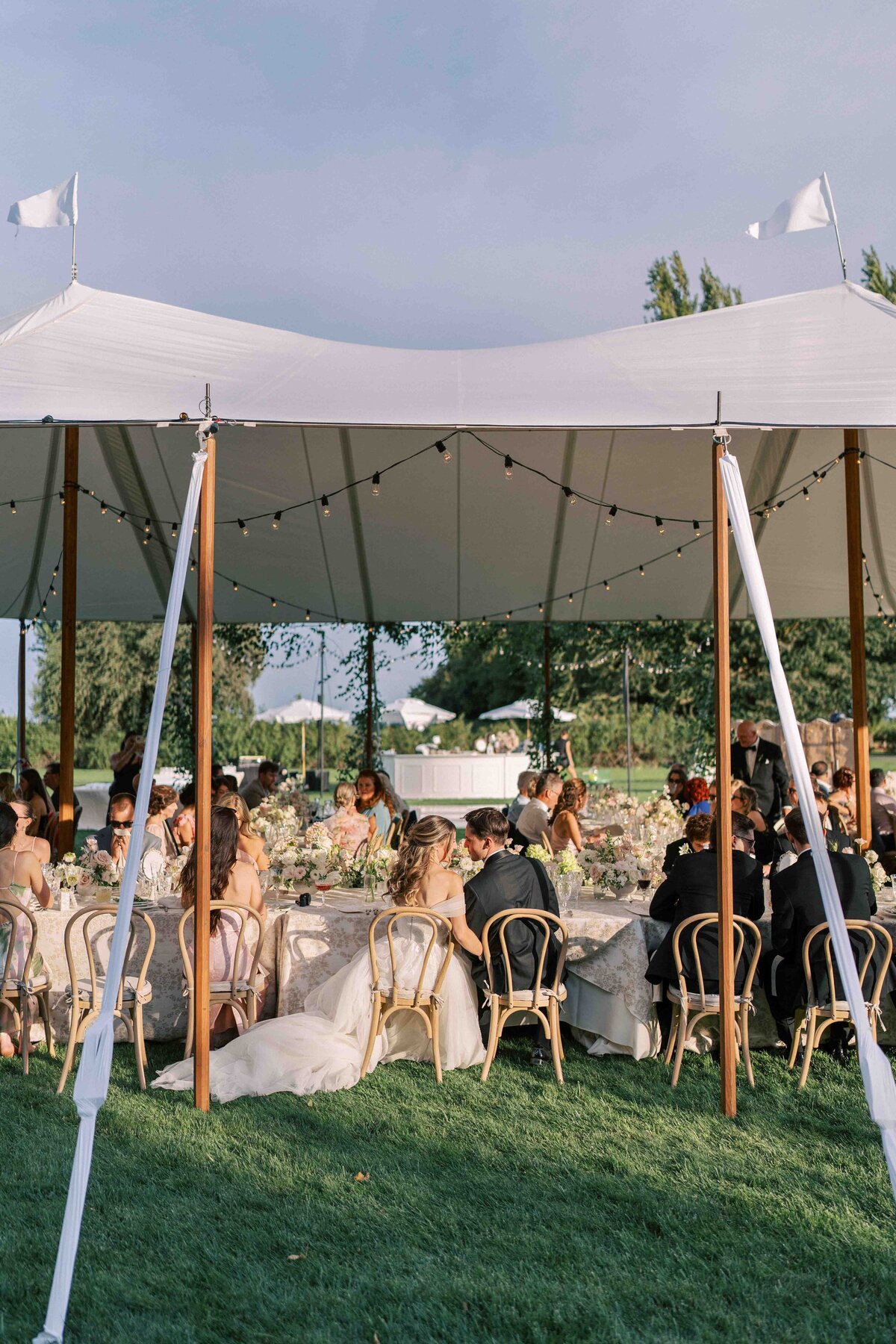 WILLOW-BEN-WEDDING-NAPA-PHOTOGRAPHER-50