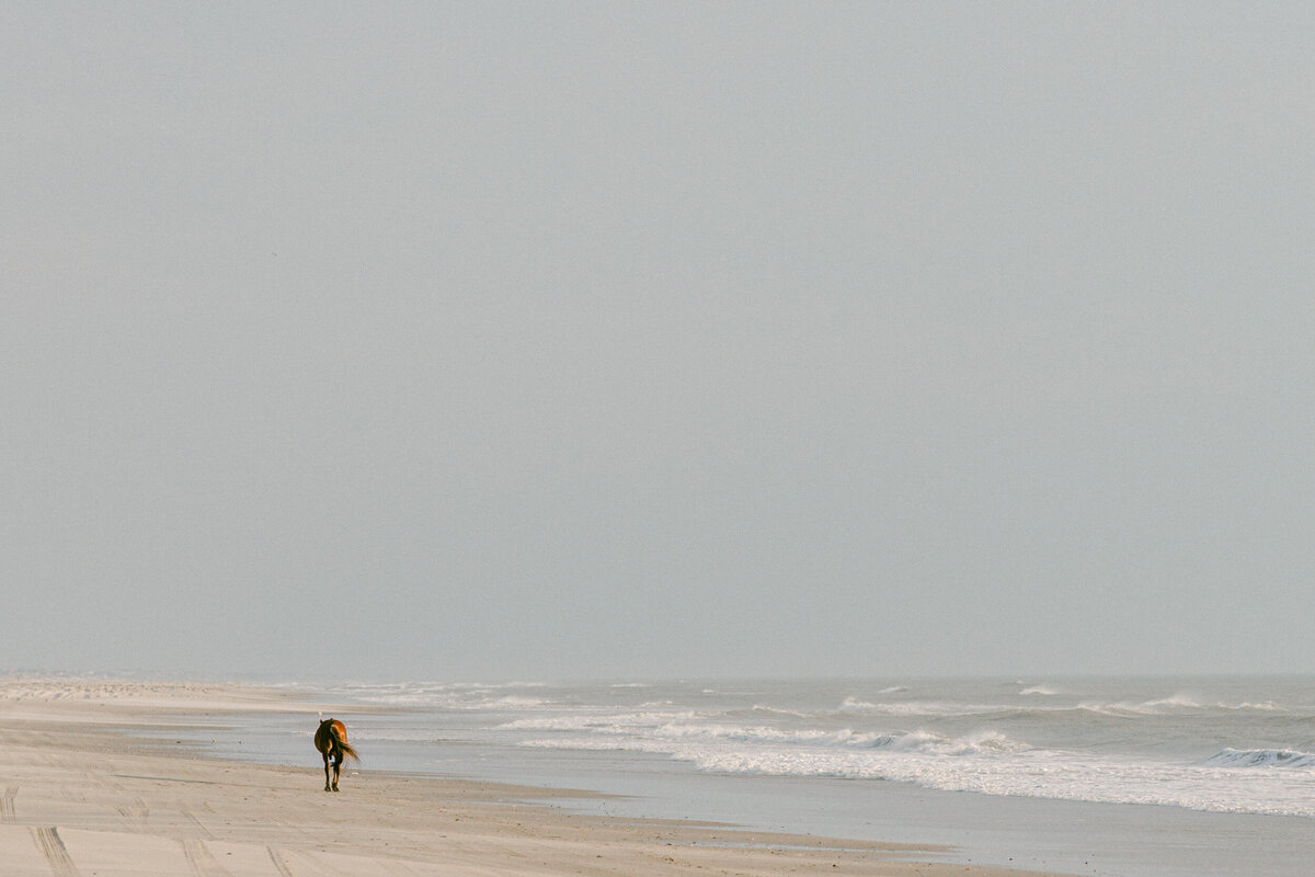 Beach-Wedding-outer-Banks12