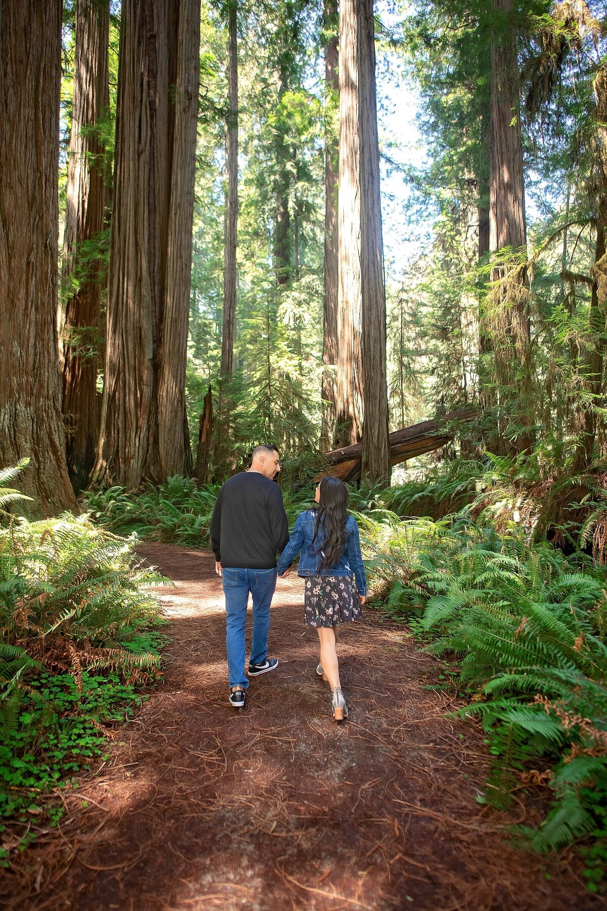 Engagement-Photographer-Avenue of the giants-redwoodsHumboldt-County-romantic-redwoods-elopement-Humboldt-redwoods_0162