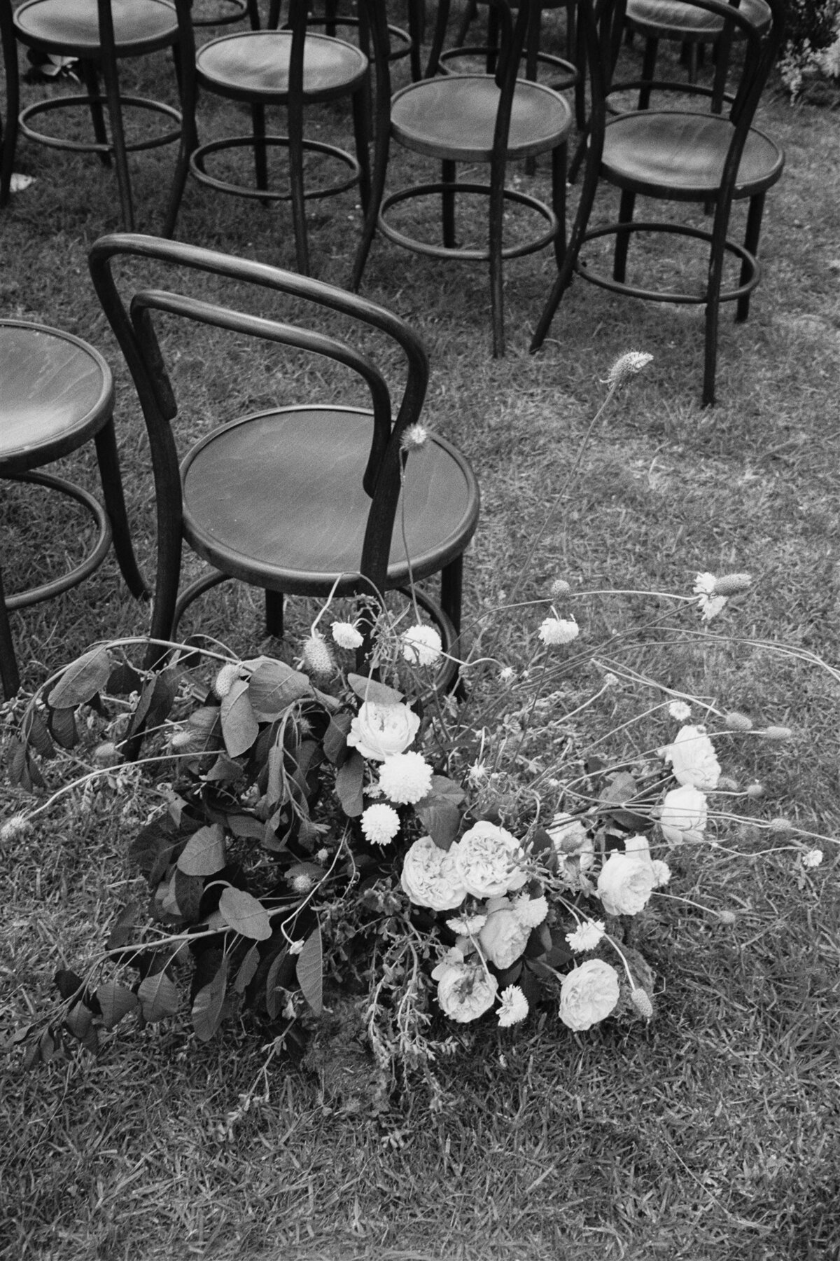 Maegan-Brown-Moments_20240120_Wedding_Stella-Julian_Botanical-Gardens_Sophia-Prahran-Arcade_35mm-Film_0009-Copy1