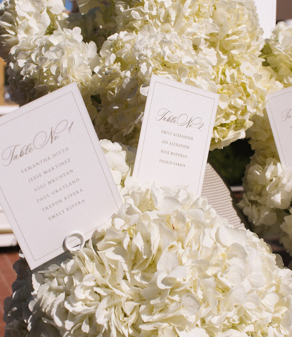 Reception2