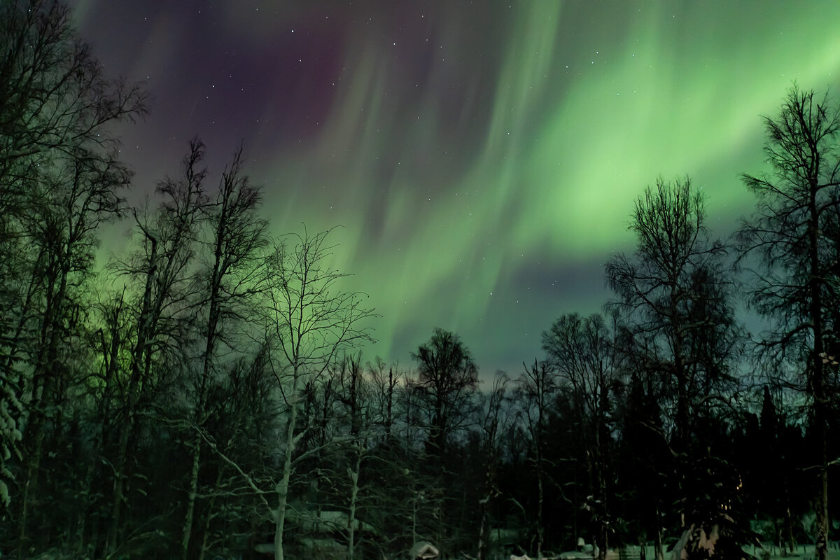 Aimee Danielson Fairbanks Alaska_-466