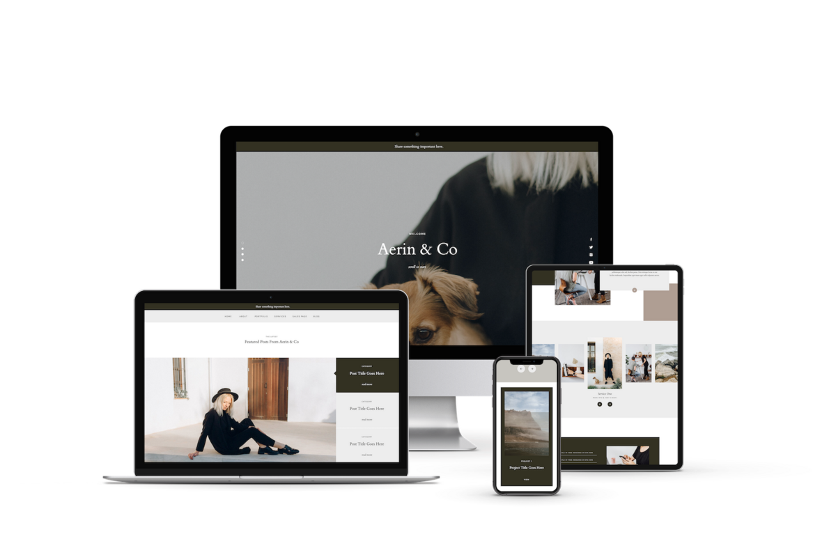 aerin-showit-website-template-sales-page