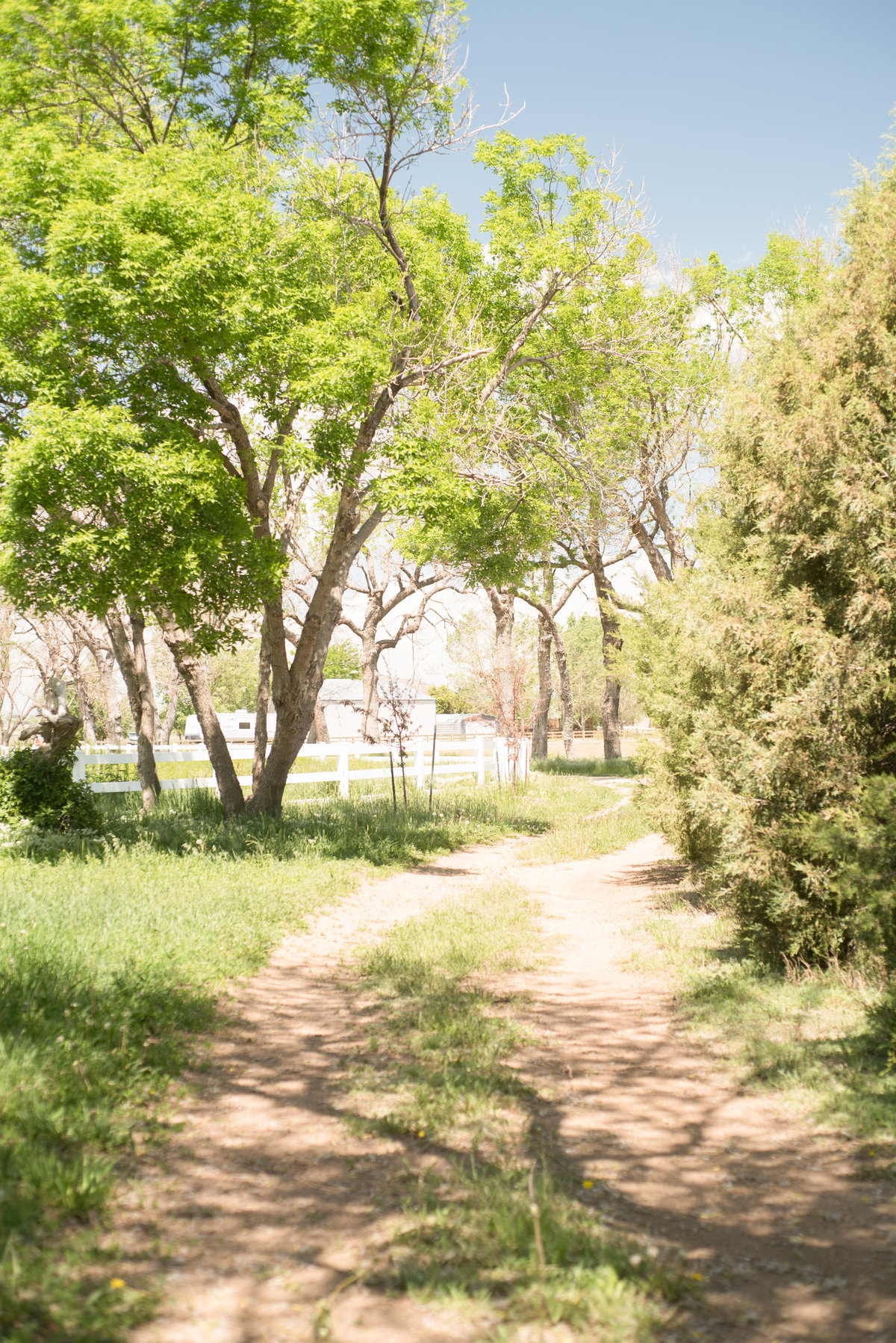 denverweddingphotographer-53