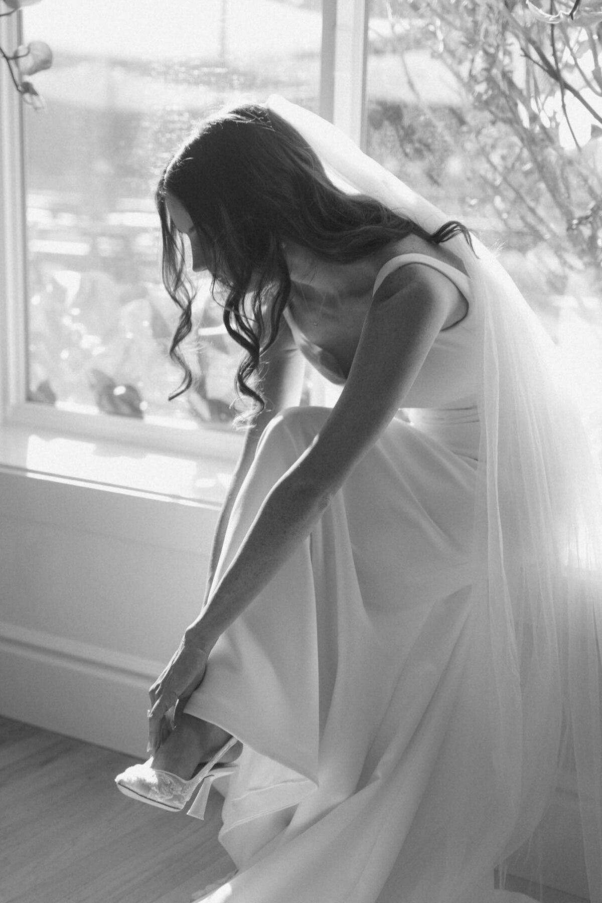 Rancho-Guejito-Vineyard-11