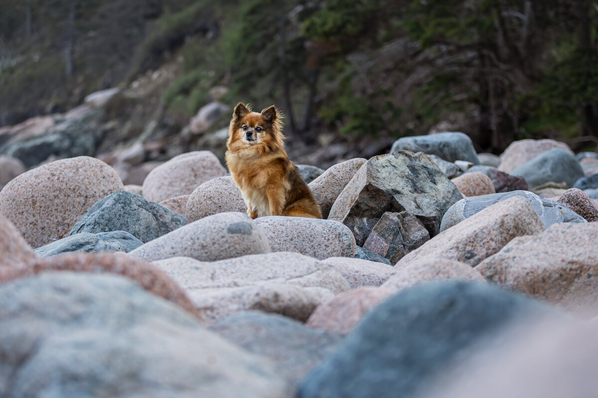 KaseyWilsonPhotography--4