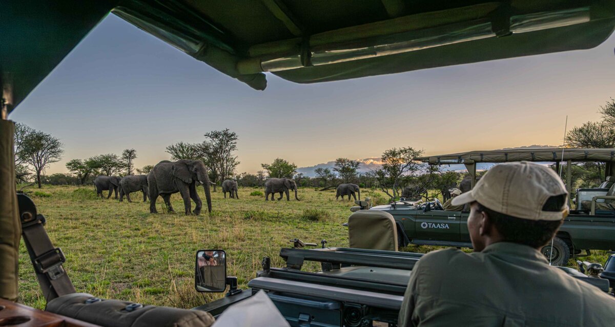 TAASA Wildlife - Rick Kellogg, Sandra Simpson (5)