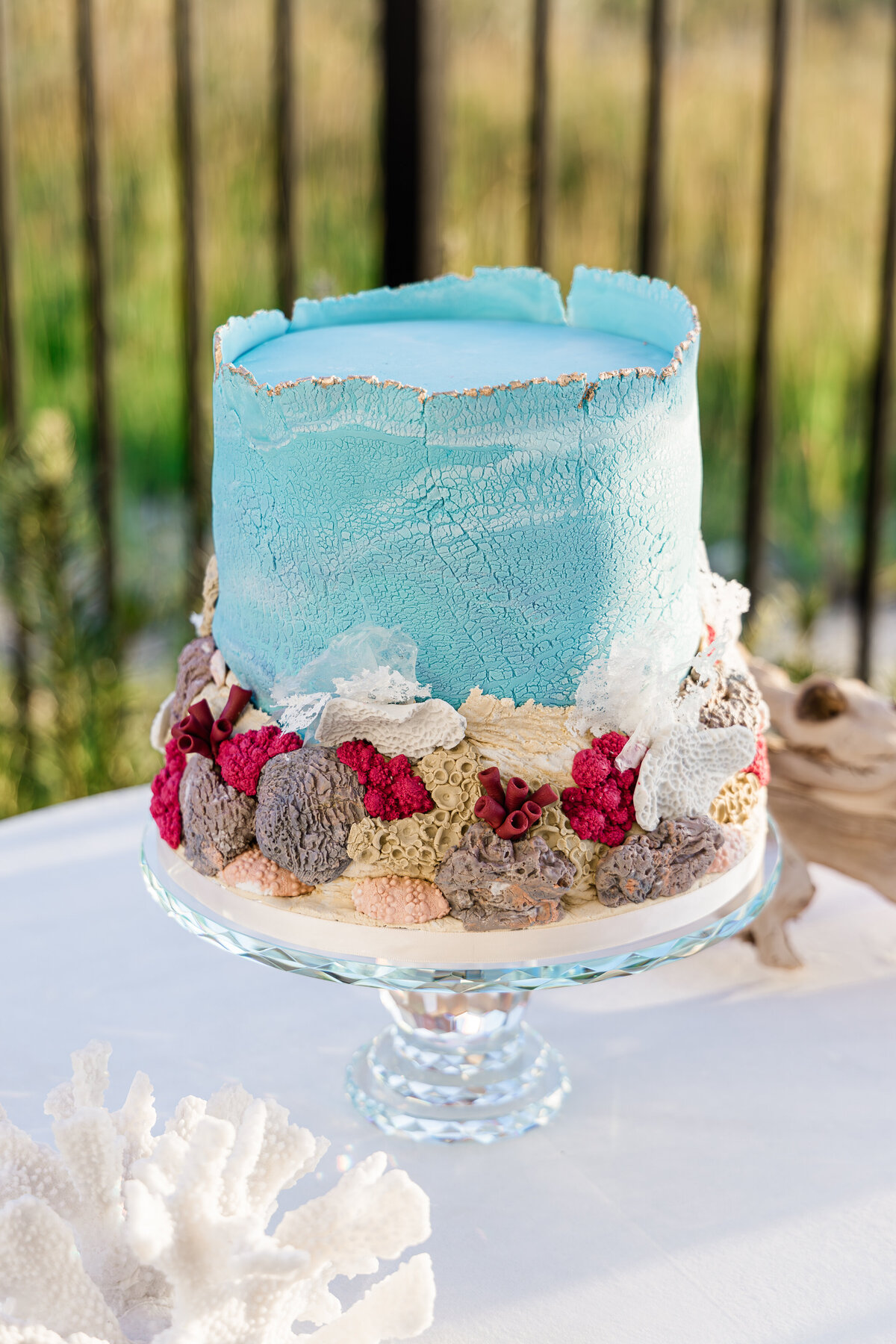 Ocean designed cake with coral and barnacles