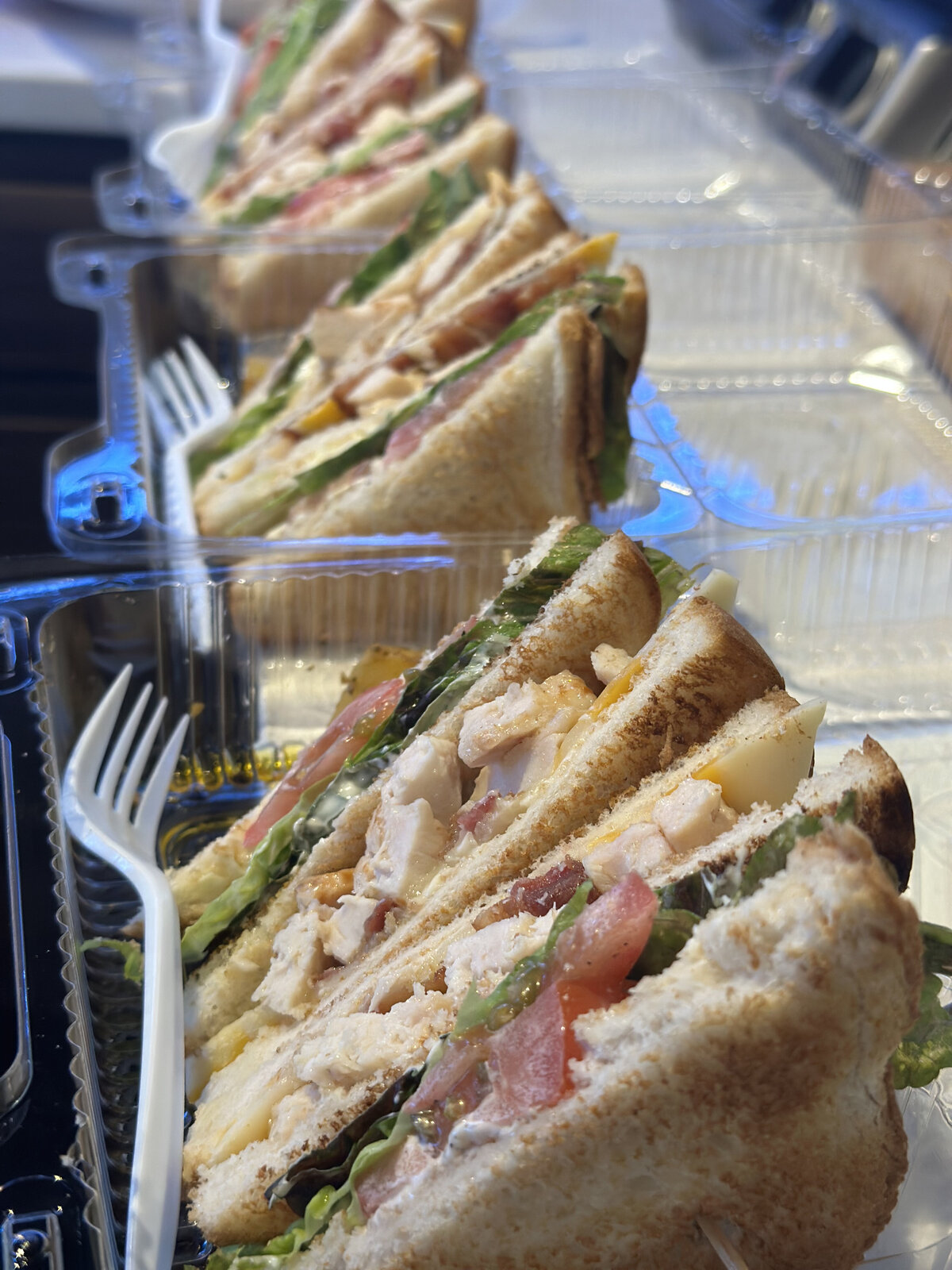regina-corporate-catering-lunch-boxes
