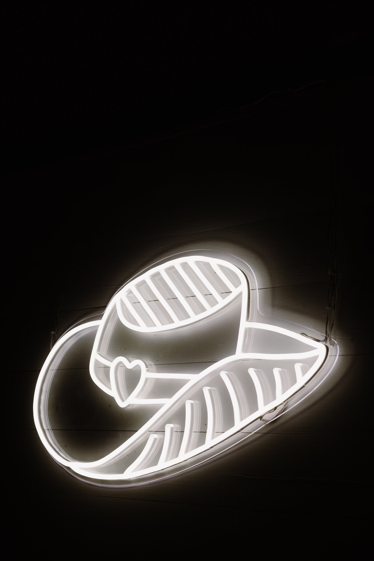 Illuminated cowboy hat