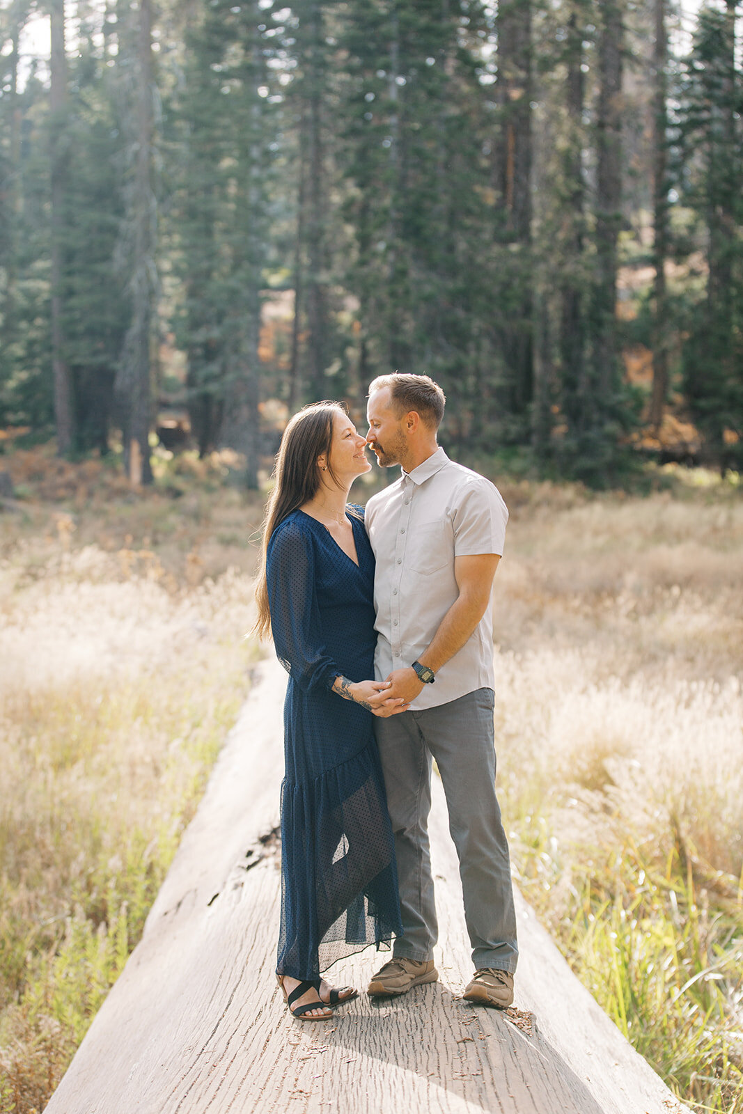 Jeffrey and Sam Engagement in Sequoia-205_websize