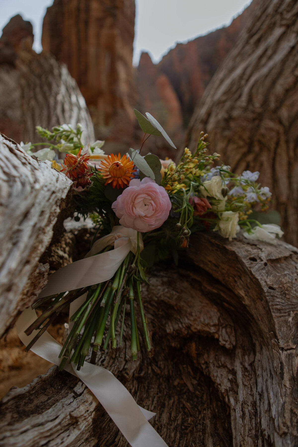 ZionNationalPark-3