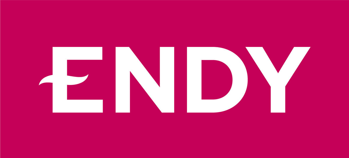 ENDY_WORDMARK_TAB_PINK_WEB-01