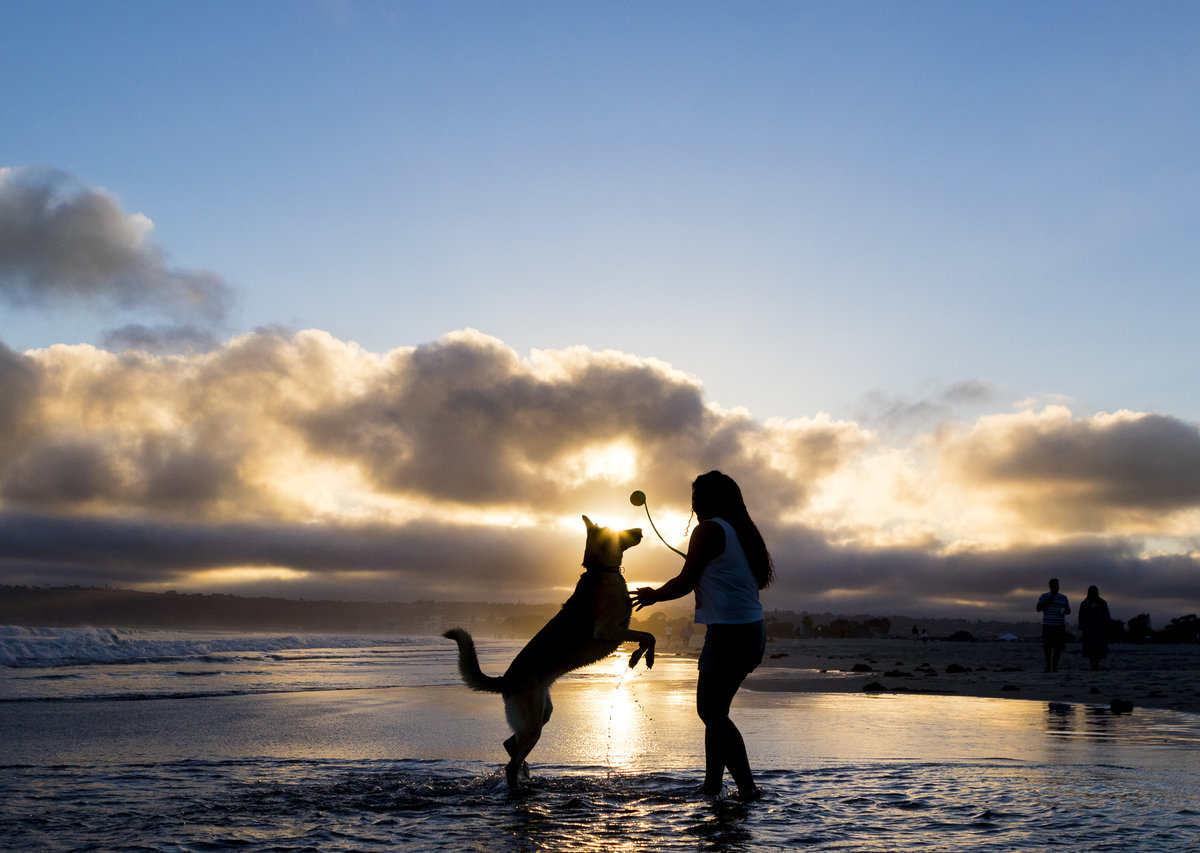 san diego pet family photographer 5