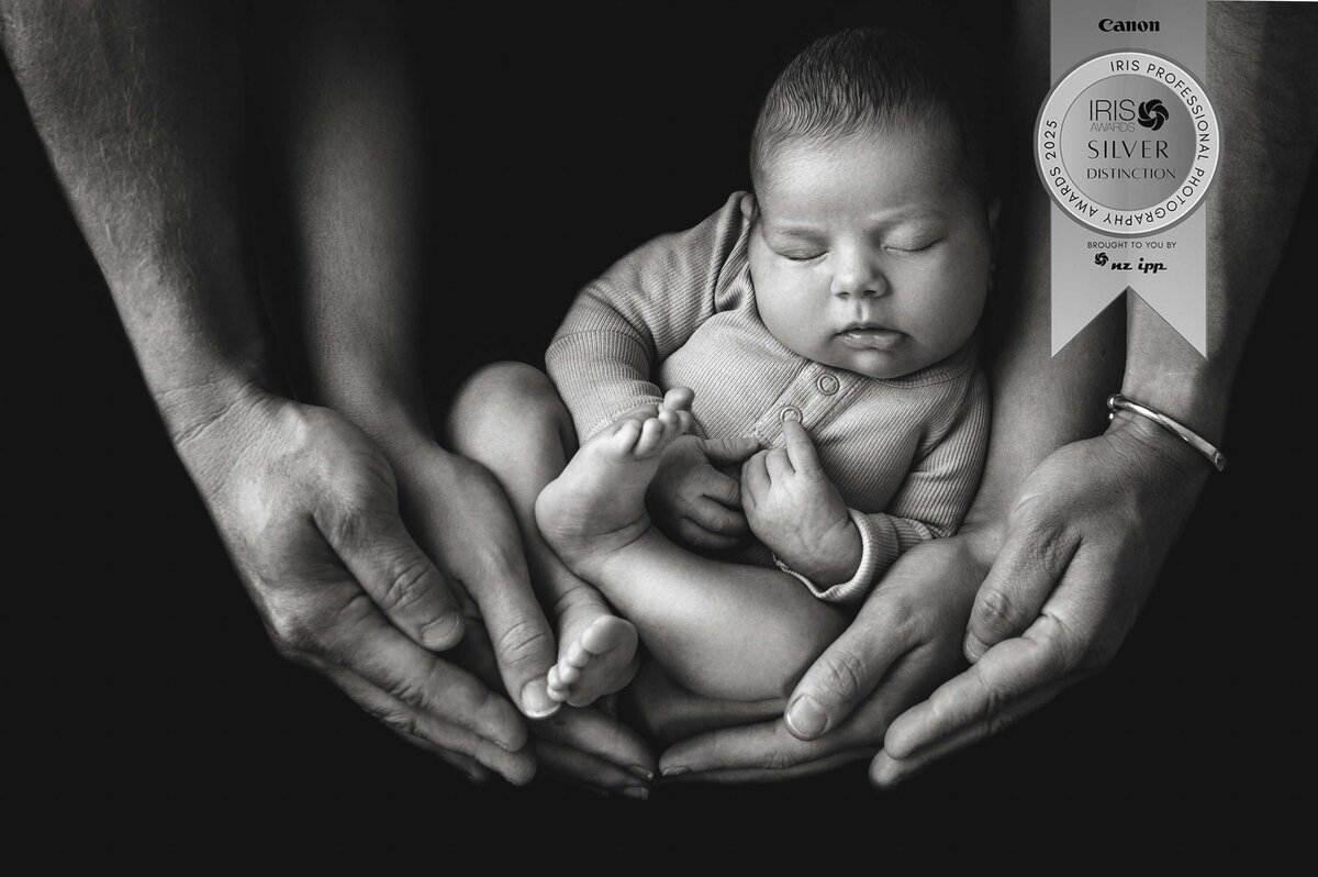 iris entry 16-7 copy