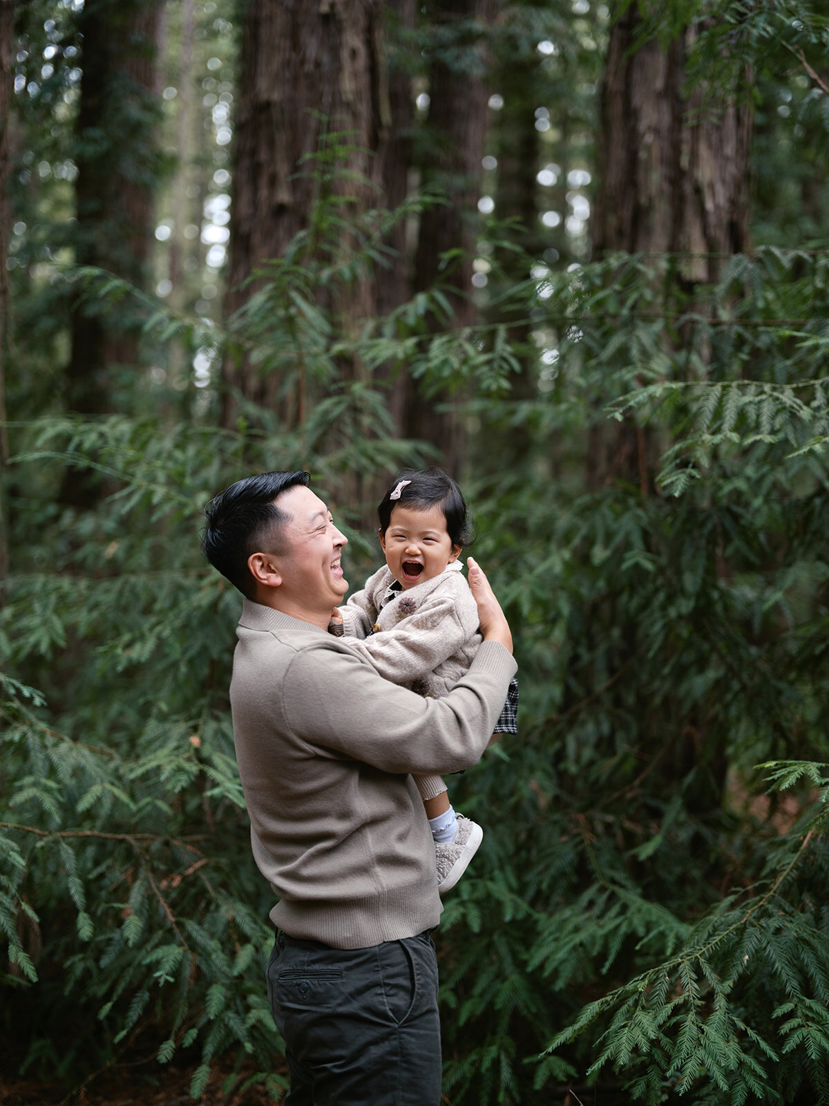 Toddler redwood photos East Bay family session Oakland photographer