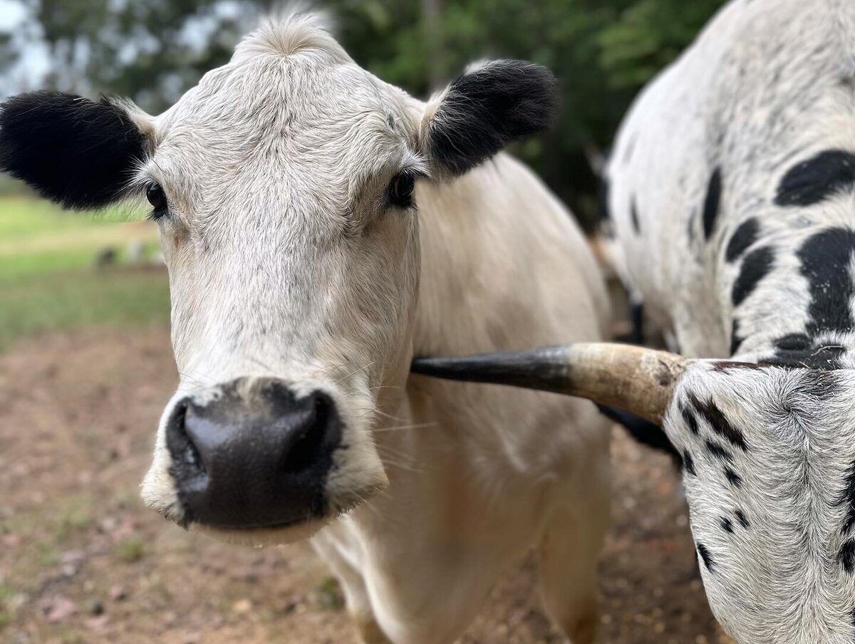 Farm Tours