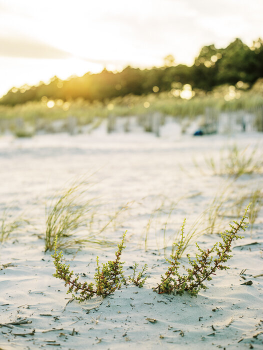 sea pines hilton head island engagement Photos_-19