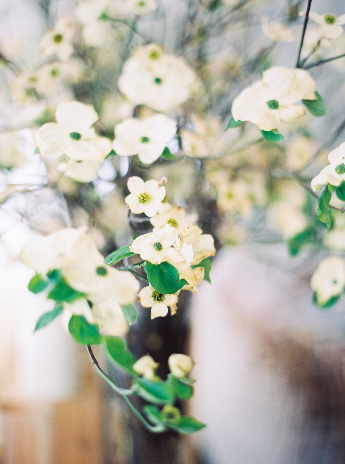tented-outdoor-wedding-spring-wedding-flowers