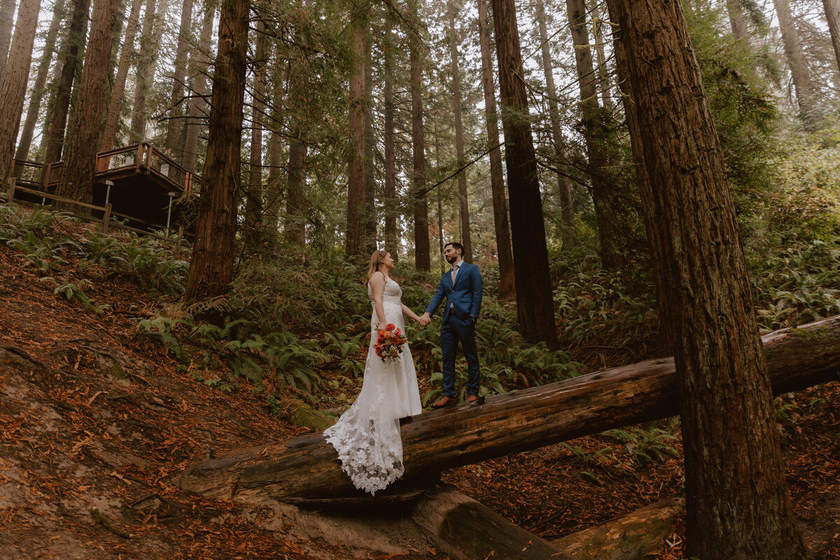 ElizabethMaguirePhoto-Hoyt-Arboretum-Portland-Wedding-3