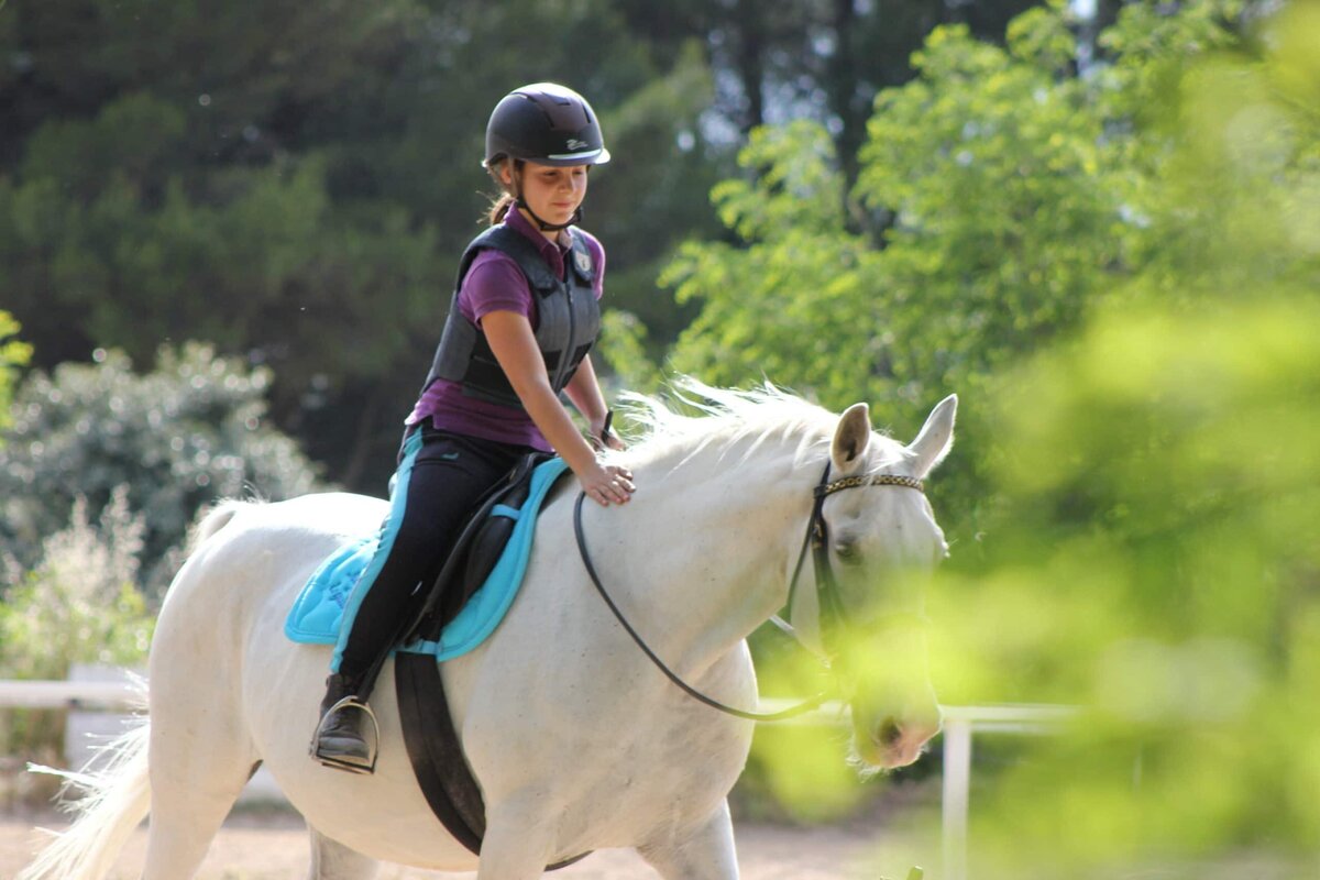 Faire Ensemble avec son cheval - Natural Green Horse