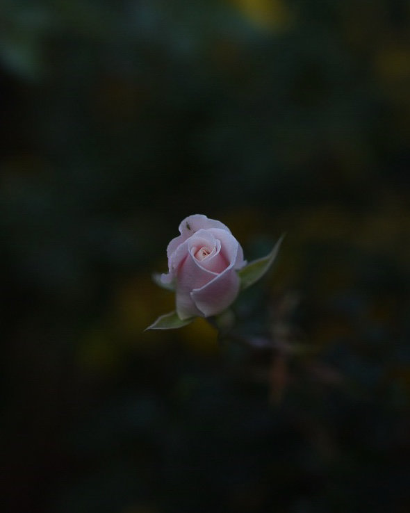 Wade_Muir_Photography_Places-editsas-6