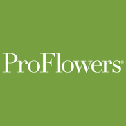 Pro Flowers