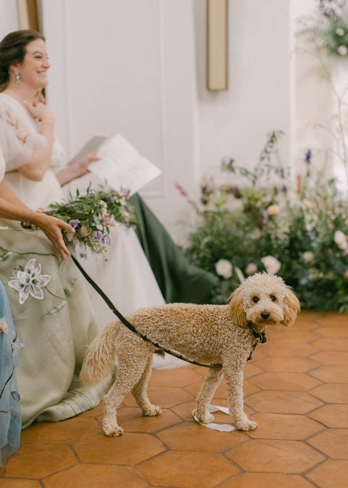 Dog at wedding