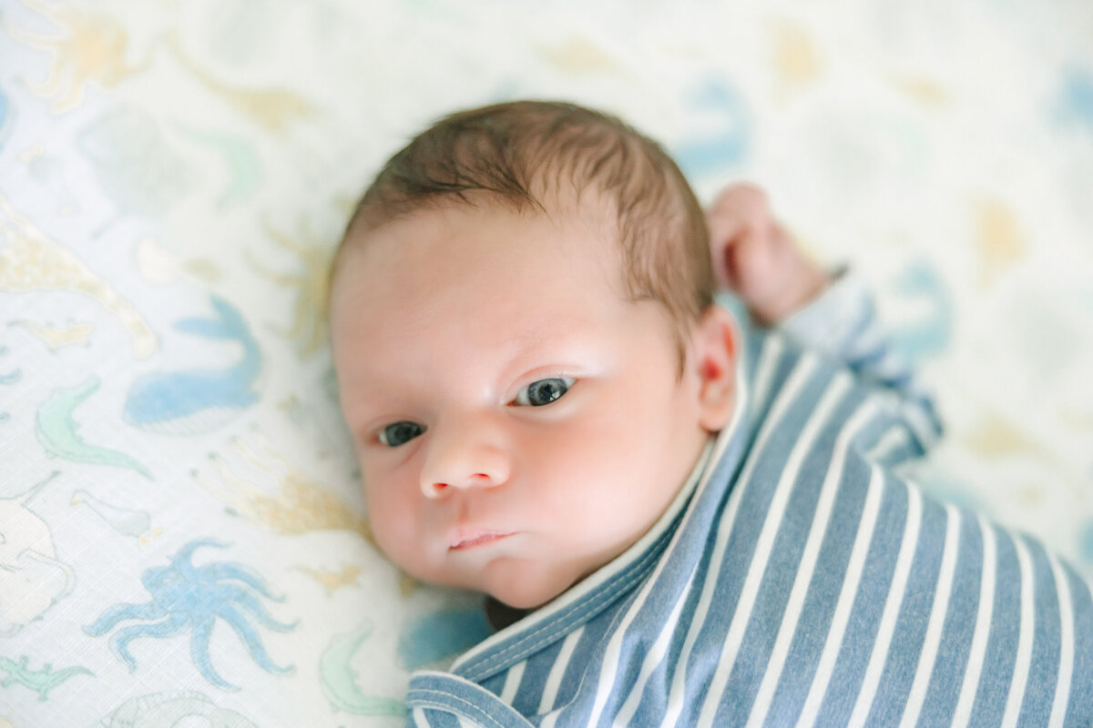 Newell Newborn - Theo-65