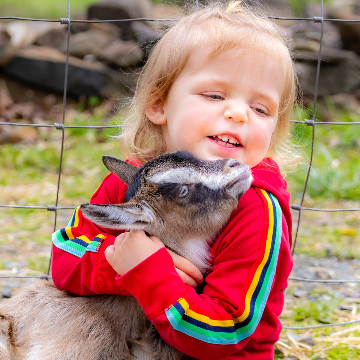 goat cuddles-89
