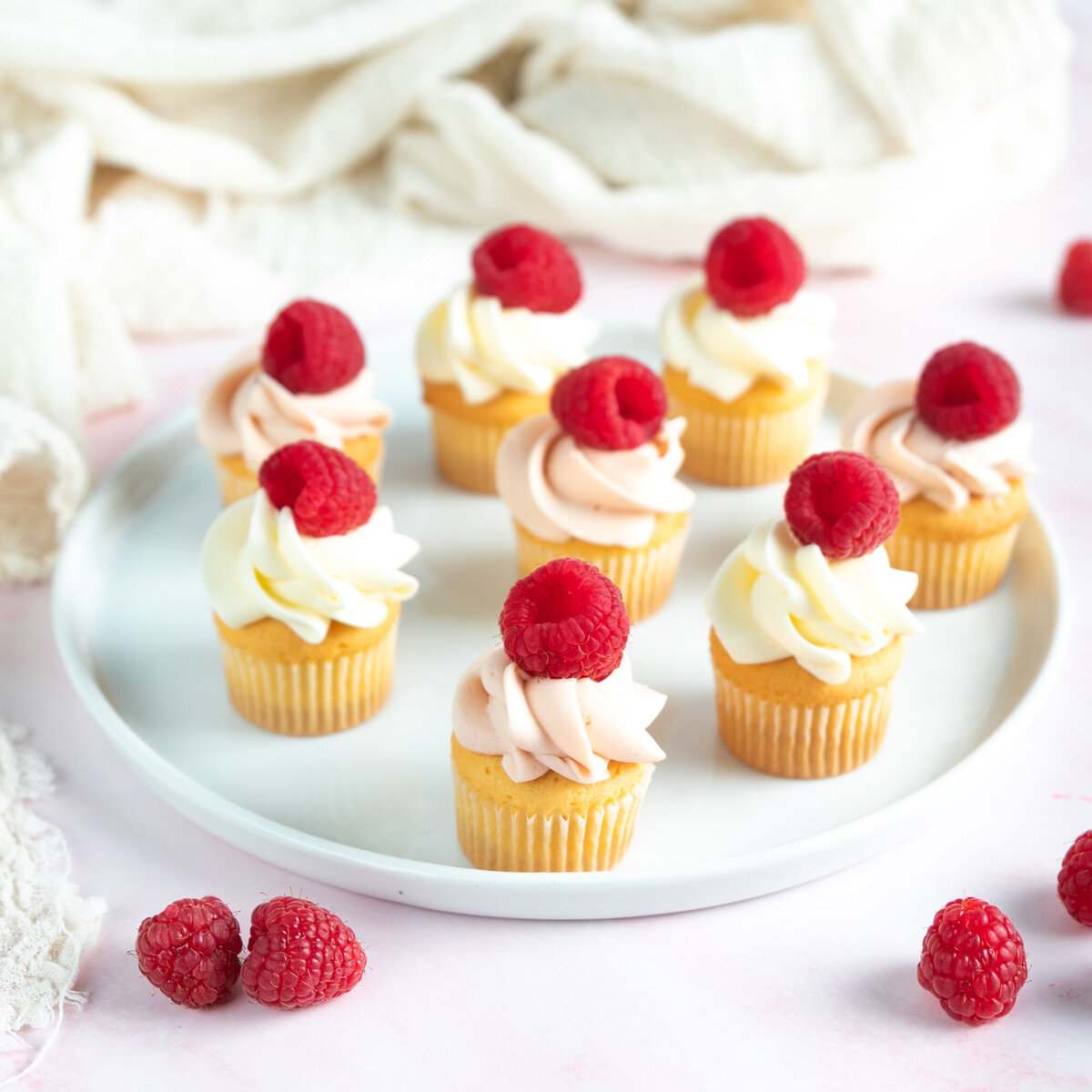 Insta-GINYJEN Fotografie-022023-6