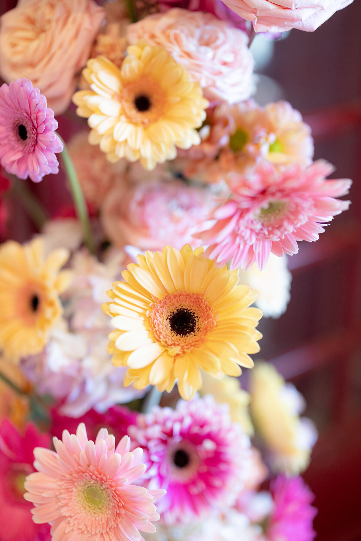 Rachel_Girouard_Photography-20