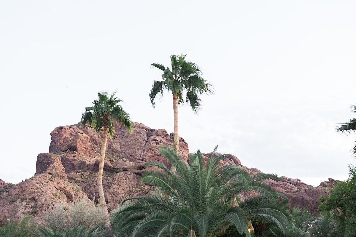 Scottsdale Wedding - Tara Nichole Photo - 2023 - Kenna and Harrison-423