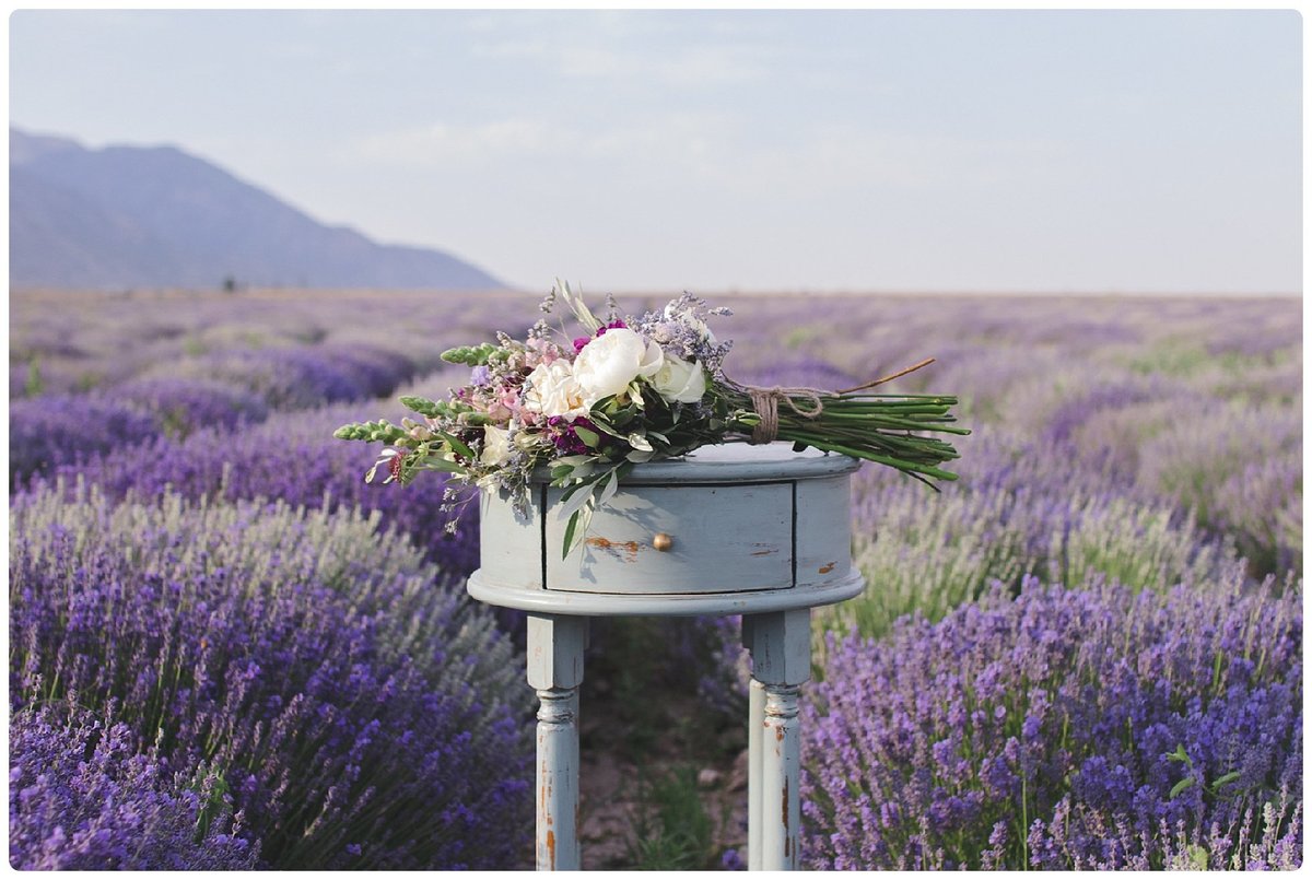 Lavender Fields Bridals Utah County Photographer Kylie Hoschouer Life Looks Photography_0087