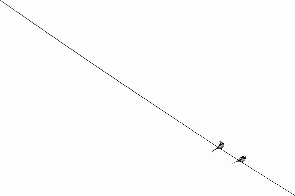 twentytwenty-050_websize