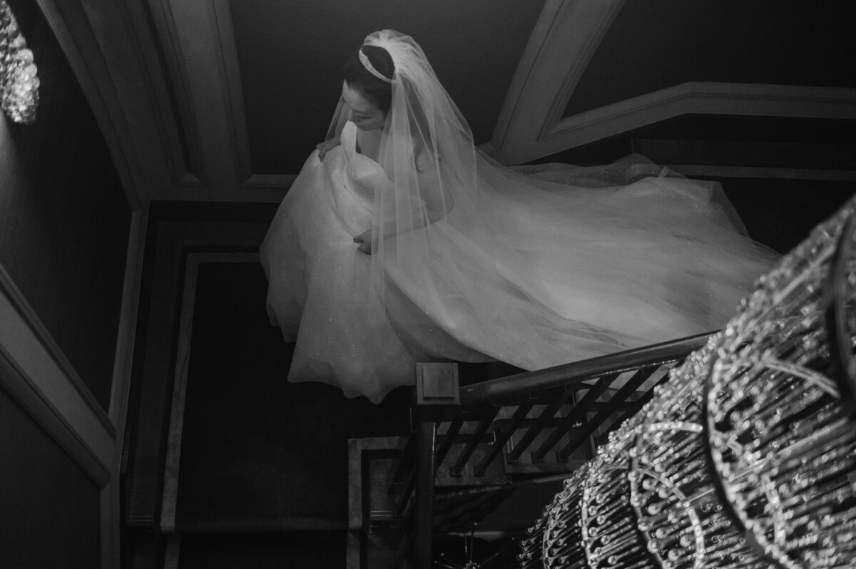 DVP_portfolio_2025-4