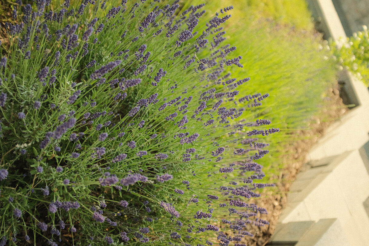 DSCF2314_websize
