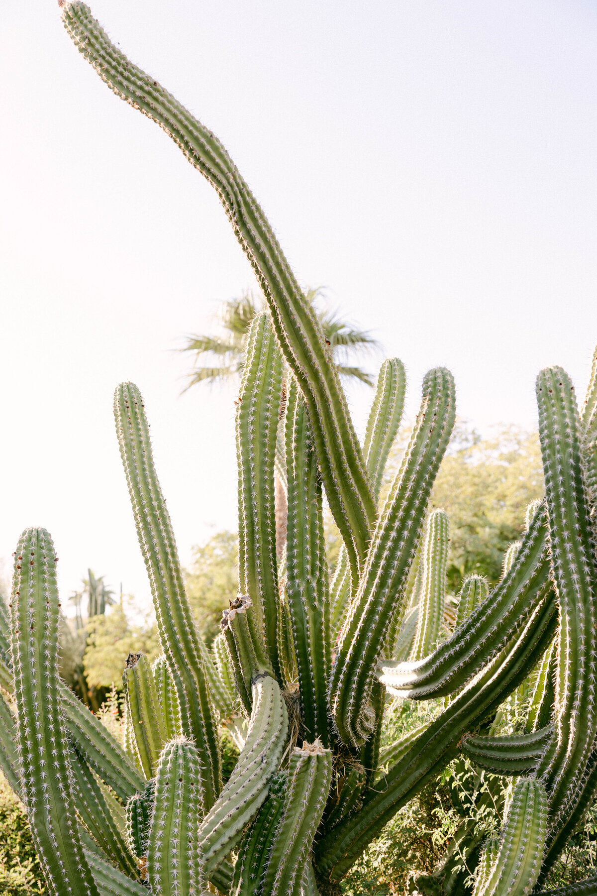 camelbackinnwedding-47