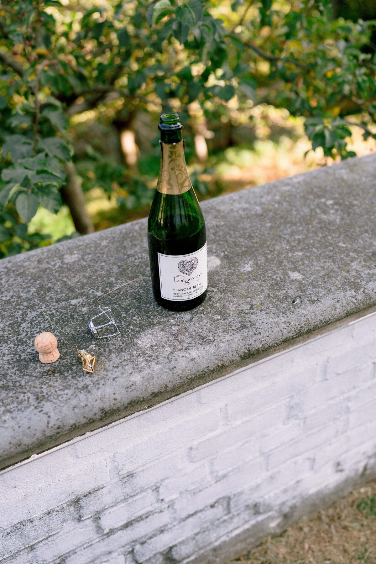 N+J Engagement-95