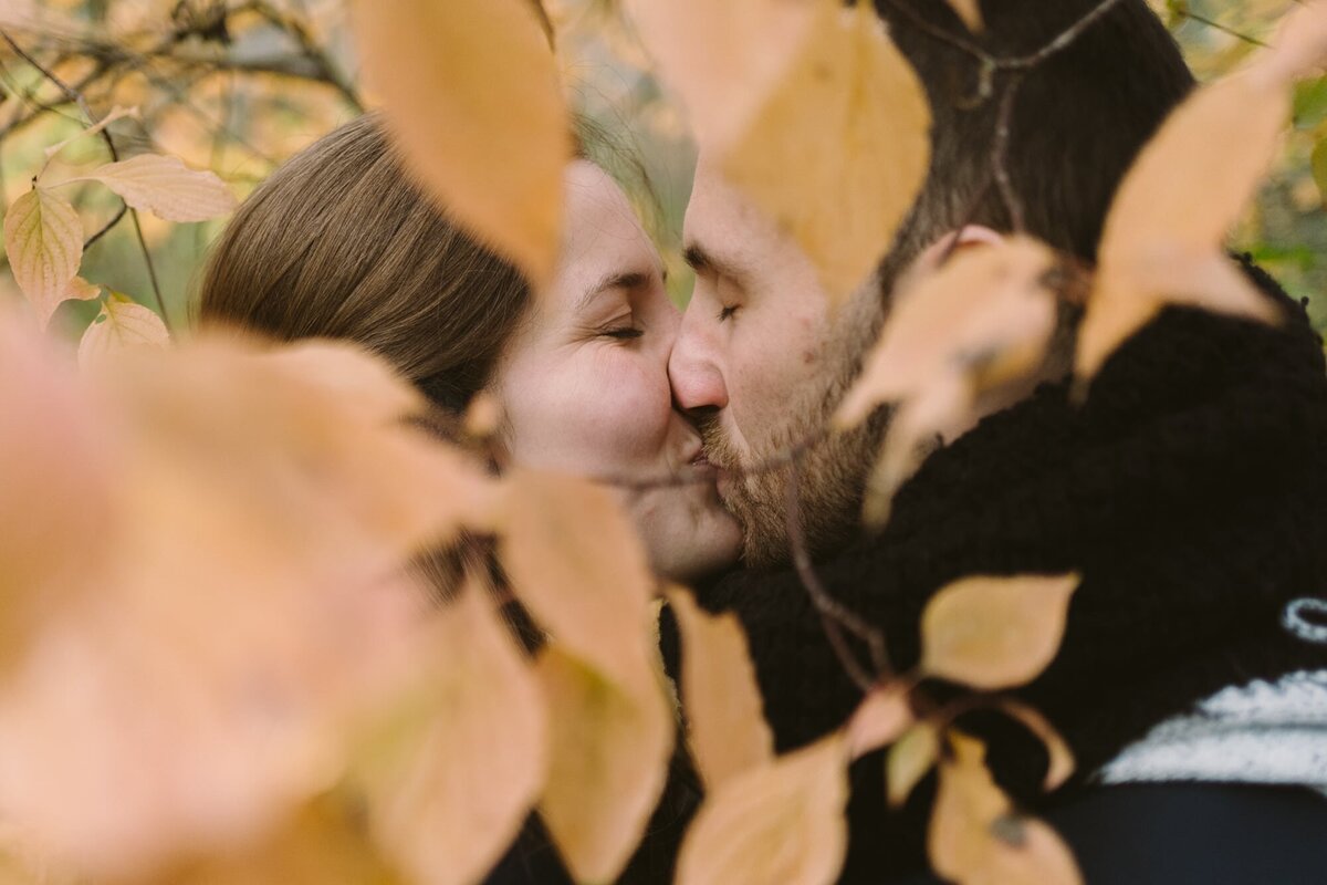 engaged couple kissing under fall leaves