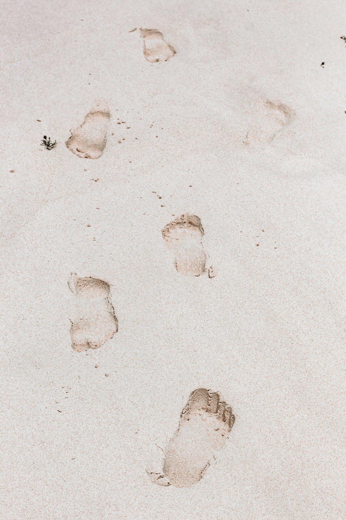 sincerely-media-hfpSi37YC8k-unsplash