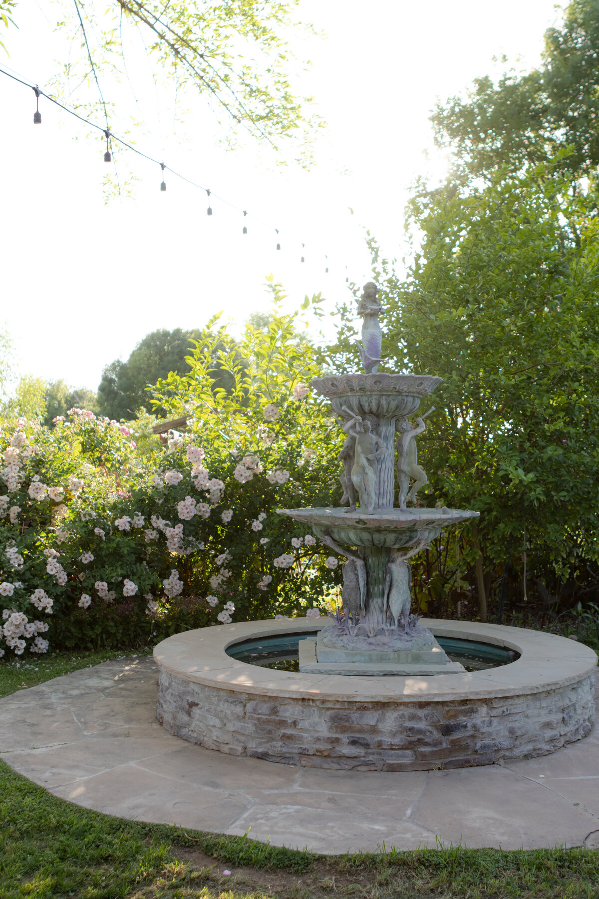 Jovanna G Photography. Classic, sophisticated Wedding Photos. Soft romantic engagement photos. Soft romantic WeddingPhotos. Sophisticated Wedding Photographer. Professional Wedding Photographer. Destination Wedding Photographer. Luxury Wedding photographer. Traveling Wedding Photographer. AZ Wedding Photographer. Gilbert AZ Wedding Photographer. Queen Creek Wedding Photographer. Phoenix Wedding Photographer. Scottsdale Wedding Photographer. Flagstaff Wedding Photographer. SoCal Wedding Photographer. California Wedding Photographer. Northern California Wedding Photographer. Southern California Wedding Photographer. San Francisco Wedding Photographer. Bay Area Wedding Photographer. San Jose Wedding Photographer. Golden Gate Bridge Wedding Photographer. Beach Lover Wedding Photographer. Palace of the Fine Arts Wedding Photographer. Ocean Lover. I love California. Orange County Wedding Photographer. Newport Beach Couples Photographer. Newport Beach Wedding Photographer. Laguna Beach Couples Beach Engagement Photographer. Laguna Beach wedding beach photographer. Los Angeles Wedding Photographer. Young and in love engaged couples who live in southern california. Christian Young Couple. Young Engaged Couple. Engaged High School Christian Couple. Christian Values. Young conservative Christian women. Young Conservative Christian men. Young Conservative Christian Couple. Young Christian Couple Engaged in High School. Young Christian College Couple. Garden Elopement on a Private Estate. Classic. Floral. Elegant. Garden, Tea Party Rose Garden Private Estate. Floral Garden Party Wedding Theme. Floral Garden Tea Party Intimate Elopement. Arizona Springtime green rose garden wedding. Greenery, Rose Springtime Wedding Photographer. Springtime wedding Inspo. Floral wonder wedding venue in California. San Diego Wedding Photographer. Streets of Italy Vintage Fountain. Italian Vintage Fountain in Arizona. Bella Rose Blooms. Material Girls Weddings. Hair By Kiley K. Makeup by Velvet