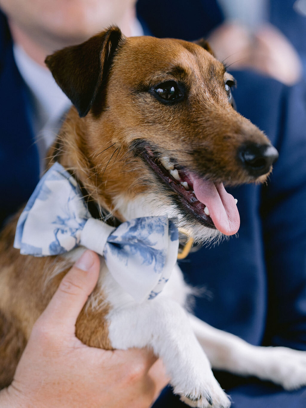 NikkiSanterre_EastCoastPrivateEstateWeddingPhotographer_Caroline&Ben-59