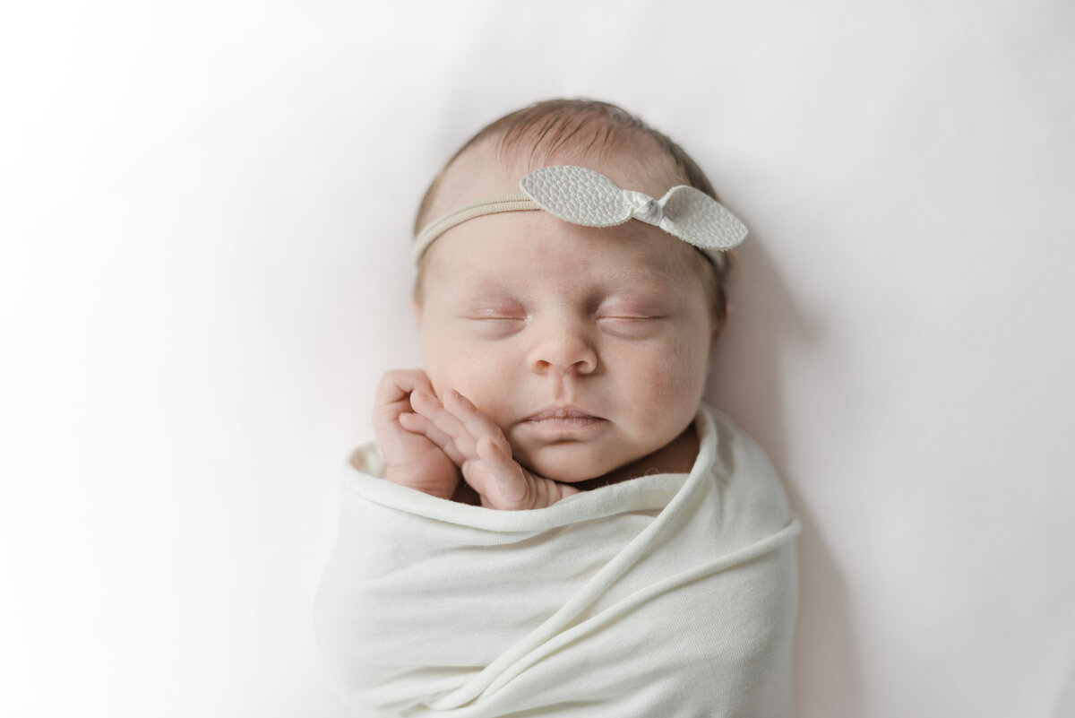 newborn portrait swaddled